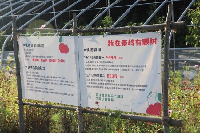 煥新“農(nóng)家院” 開拓“新賽道”——寶雞市渭濱區(qū)推動鄉(xiāng)村文旅融合發(fā)展