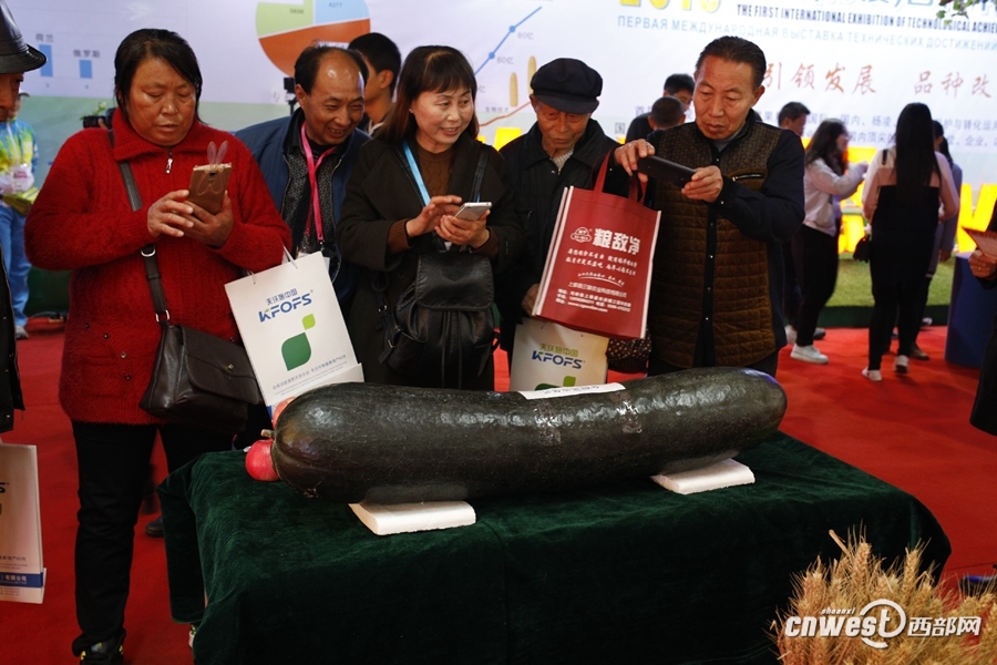 組圖：逛會忙！農(nóng)高會首日稀奇農(nóng)特產(chǎn)品引人關(guān)注