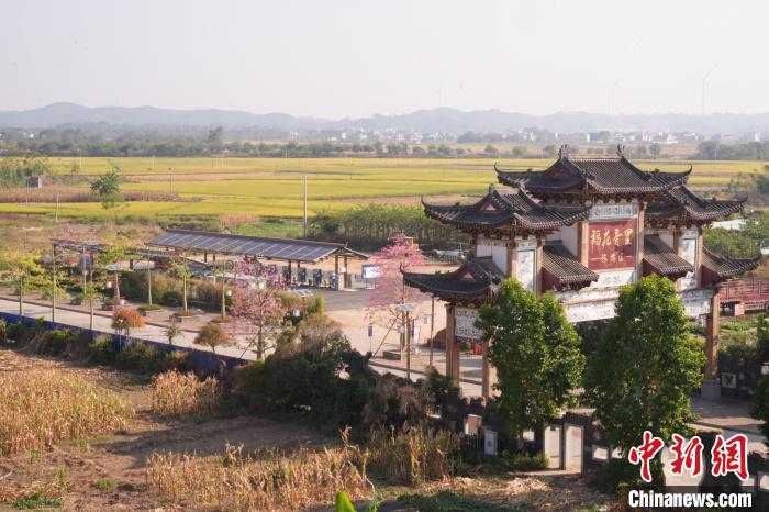廣西賓陽(yáng)縣首個(gè)風(fēng)光儲(chǔ)一體綜合能源站位于古辣鎮(zhèn)古辣社區(qū)。陳伯鑫 攝