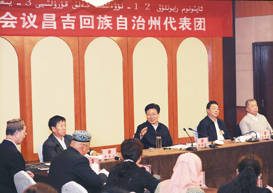 聚焦自治區(qū)兩會之現(xiàn)場：張春賢：解決好基層“物”和“人”的問題