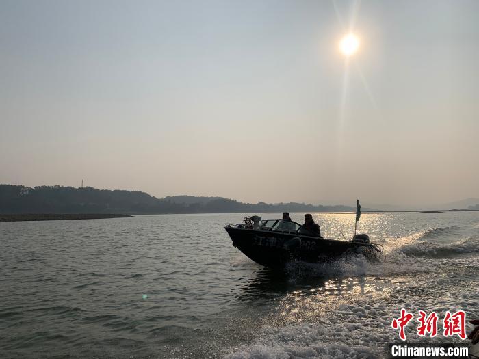 圖為日落時分，重慶江津區(qū)鴻鵠護漁志愿隊開展江上巡邏。　王婷婷 攝