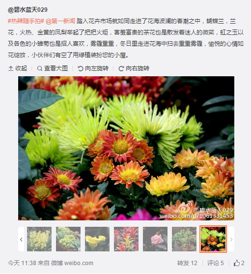 搜狗截圖16??1??1??338_9.png