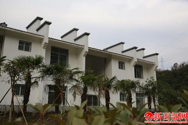 QQ圖片20160205201234.jpg
