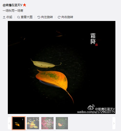 搜狗截圖15??0??6??520_9.png