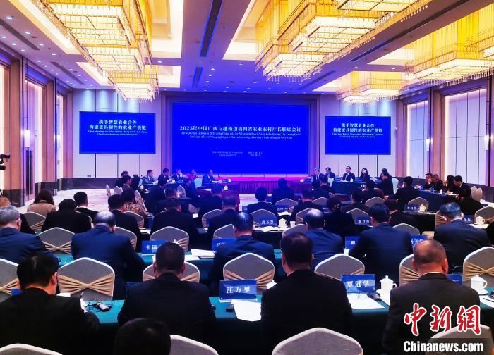 1月20日，2025年中國廣西與越南邊境四省農(nóng)業(yè)農(nóng)村廳長聯(lián)席會(huì)議在廣西南寧市召開。圖為會(huì)議現(xiàn)場(chǎng)。中新網(wǎng)記者 黃艷梅 攝