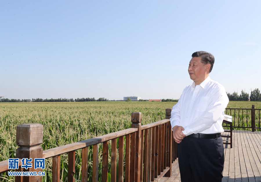 2020年7月22日至24日，中共中央總書記、國家主席、中央軍委主席習近平在吉林省考察。這是7月22日下午，習近平考察四平市梨樹縣國家百萬畝綠色食品原料(玉米)標準化生產(chǎn)基地核心示范區(qū)地塊。 新華社記者 鞠鵬 攝