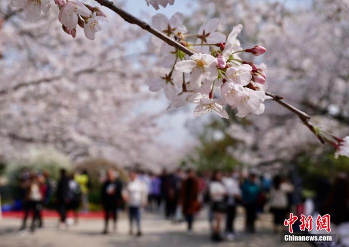 點(diǎn)擊進(jìn)入下一頁