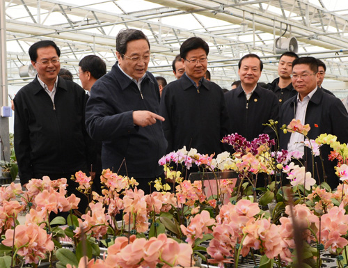3月28日，俞正聲在兵團(tuán)第一師阿拉爾市國家級現(xiàn)代農(nóng)業(yè)示范區(qū)10團(tuán)“南果北種”基地調(diào)研。（李楊攝）