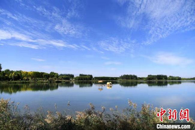 圖為2020年9月，甘肅張掖市甘州區(qū)蘆水灣生態(tài)景區(qū)?！钇G敏 攝