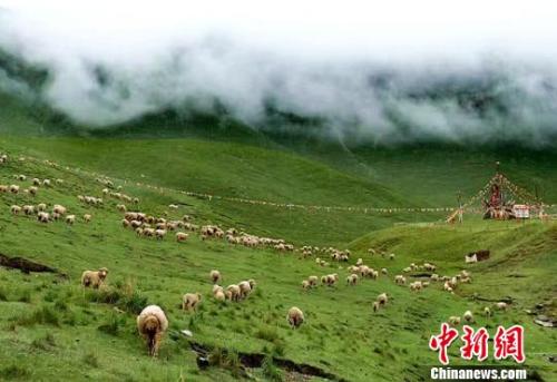 資料圖:夏日的祁連山。郎文瑞攝 資料圖:夏日的祁連山。郎文瑞攝