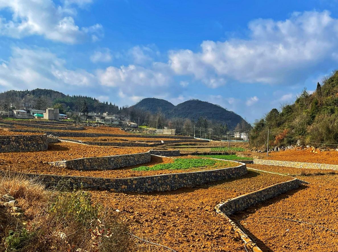 新豐小流域項(xiàng)目石坎坡改梯完工效果。安芮攝