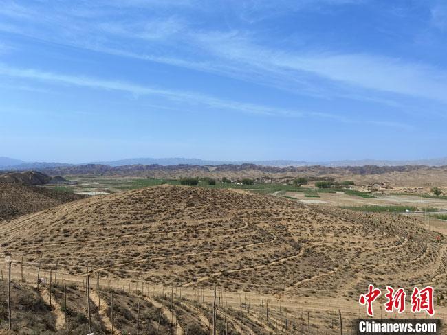 4月底，正在建設中的45萬畝“平川區(qū)國家儲備林項目”?！●T志軍 攝