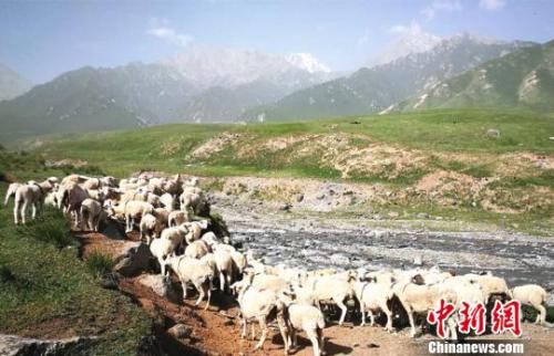 資料圖:夏日的祁連山風(fēng)景如畫?!±晌娜饠z 資料圖:夏日的祁連山風(fēng)景如畫?!±晌娜饠z