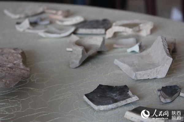 長(zhǎng)峁墕村敞陽灣遺址內(nèi)出土的部分瓷片。高崗/攝