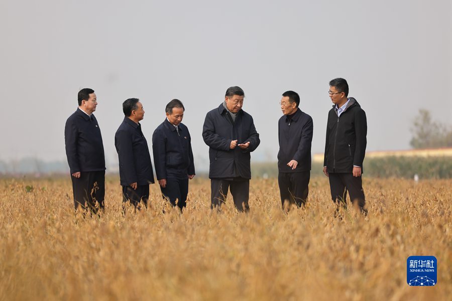 2021年10月22日下午，中共中央總書記、國家主席、中央軍委主席習近平在山東省濟南市主持召開深入推動黃河流域生態(tài)保護和高質(zhì)量發(fā)展座談會并發(fā)表重要講話。這是座談會前，習近平21日上午在東營市黃河三角洲農(nóng)業(yè)高新技術(shù)產(chǎn)業(yè)示范區(qū)考察時，走進田間察看大豆長勢。