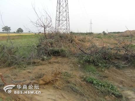 138_866365_be87fe52eacc5c7.jpg
