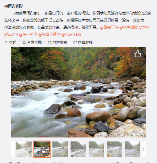 搜狗截圖15??0??2??959_4.png