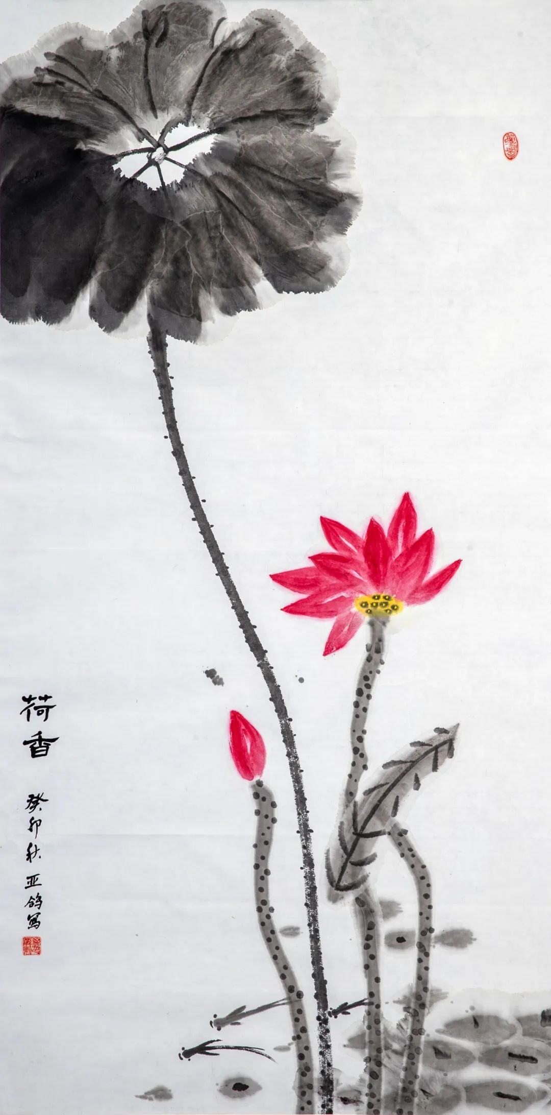 圖片