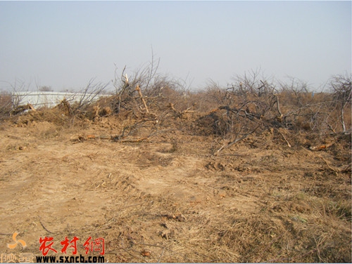 20150107025629107.jpg