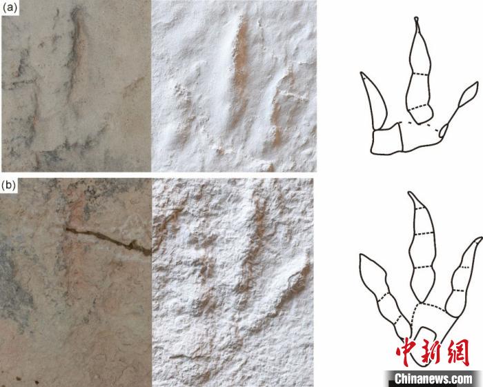點(diǎn)擊進(jìn)入下一頁