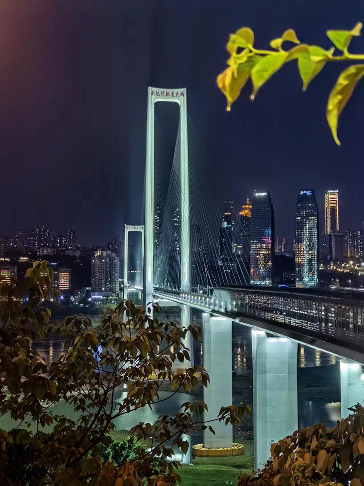 重慶的大橋。 人民網(wǎng) 鐘文興攝