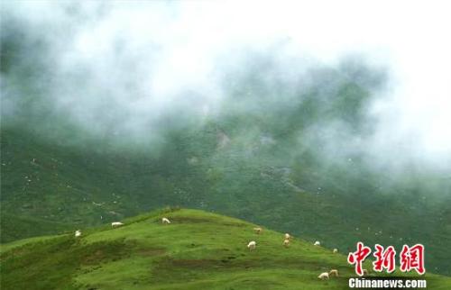 資料圖:七月的祁連山云霧繚繞?!±晌娜饠z 資料圖:七月的祁連山云霧繚繞?!±晌娜饠z