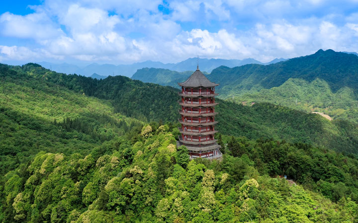 箐山公園。