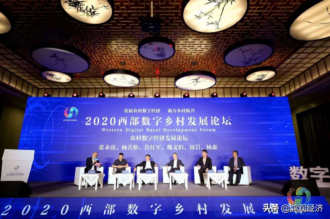 2020西部數(shù)字鄉(xiāng)村發(fā)展論壇在柞水舉行
