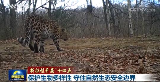 點擊進入下一頁