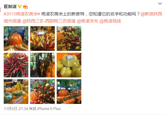 搜狗截圖15??1??6??452_10.png
