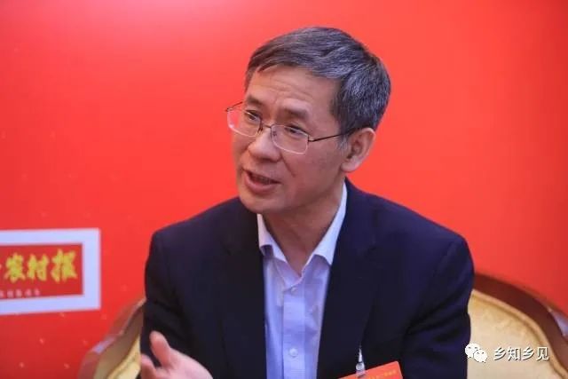 中國社會(huì)科學(xué)院農(nóng)村發(fā)展研究所所長(zhǎng)、研究員魏后凱 圖片