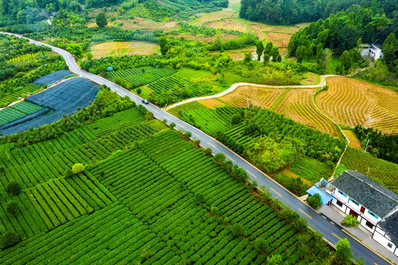 湄潭縣湄潭27°茶海路，榮獲2020年度全國“十大最美農(nóng)村路”。圖片由貴州省公路局提供